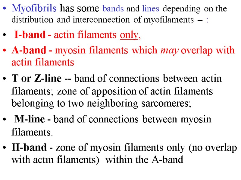 Myofibrils has some bands and lines depending on the distribution and interconnection of myofilaments Myofibrils has some bands and lines depending on the distribution and interconnection of myofilaments